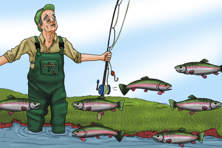 They were hovering over the water – the angler had no idea how he was going to catch the trout!
